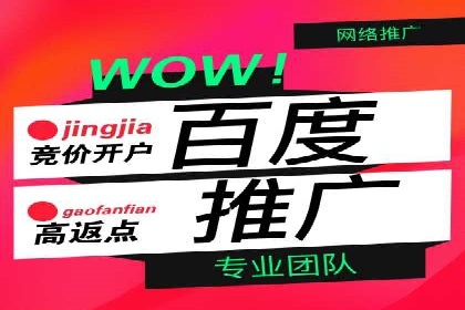 行业领先企业的SEM竞价代运营成功案例揭秘